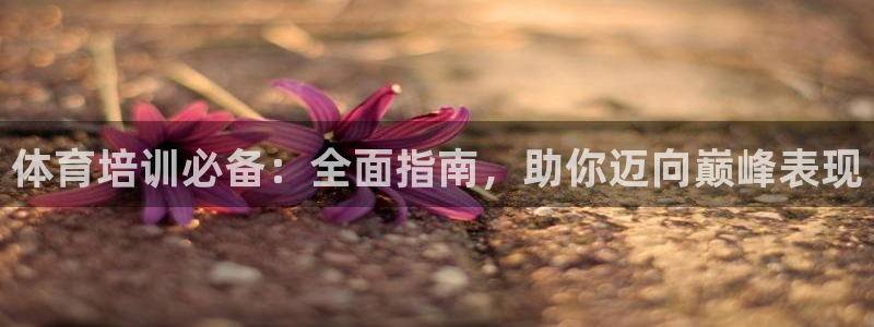 耀世登场之类的广告词：体育培训必备：全面指南，助你迈