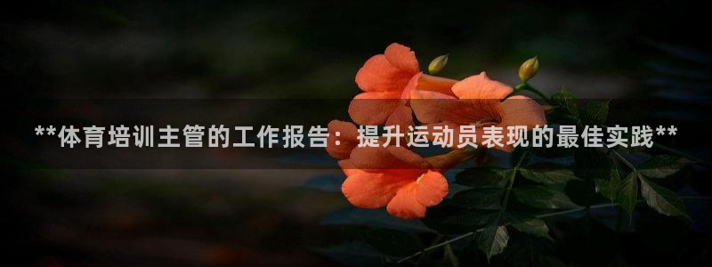 耀世集团的创始人是谁：**体育培训主管的工作报告：提