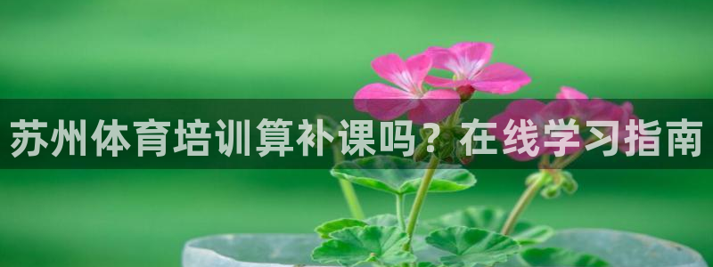 耀世的拼音：苏州体育培训算补课吗？在线学习指南