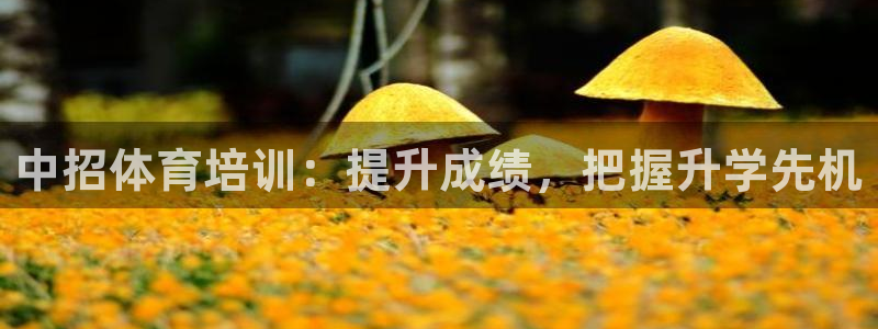 耀世平台app下载：中招体育培训：提升成绩，把握升学