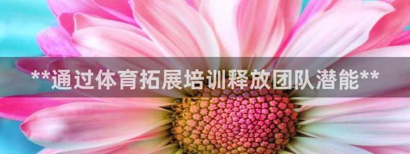 耀世国际集团：**通过体育拓展培训释放团队潜能**