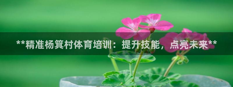耀世娱乐能提现：**精准杨箕村体育培训：提升技能，点