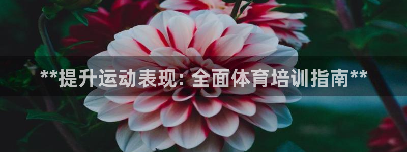 耀世平台荐 5o69I7：**提升运动表现: 全面体