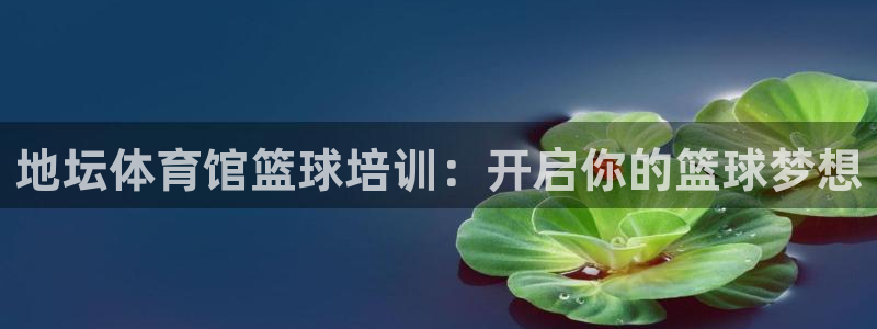 耀世平台华 5O6917 平台：地坛体育馆篮球培训：