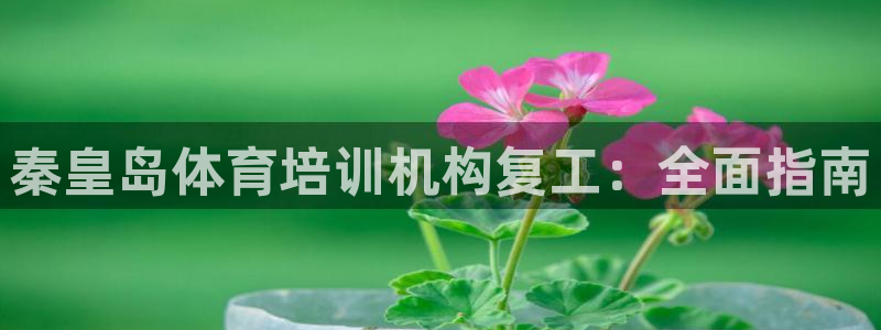 耀世娱乐客服电话：秦皇岛体育培训机构复工：全面指南