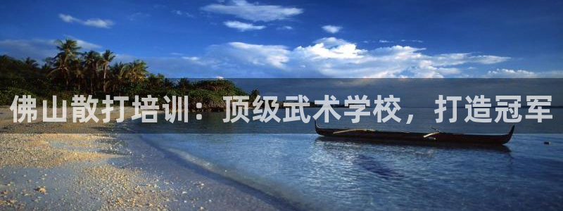 耀世娱乐老板：佛山散打培训：顶级武术学校，打造冠军