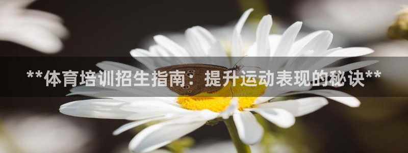 耀世娱乐注册等7O777：**体育培训招生指南：提升