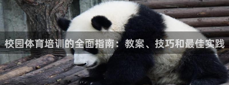 耀世平台下载：校园体育培训的全面指南：教案、技巧和最