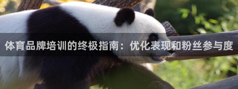 耀世娱乐家 411O31 耀世：体育品牌培训的终极指