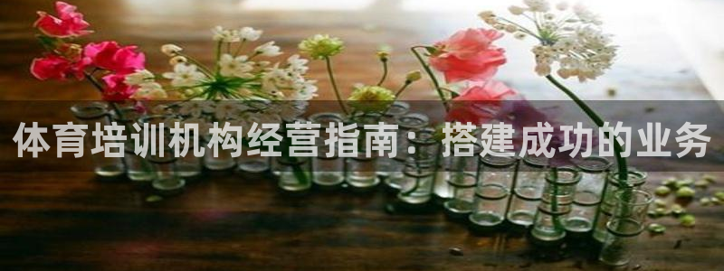 耀世集团董事长抖音是谁：体育培训机构经营指南：搭建成
