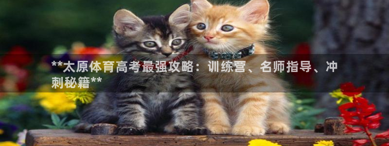 耀世登场：**太原体育高考最强攻略：训练营、名师指导、冲
刺