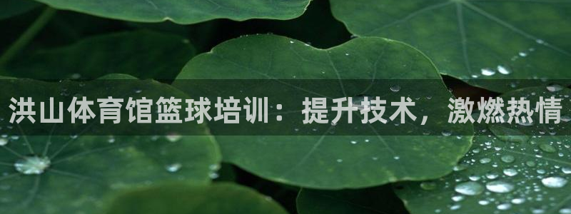 耀世集团董事长个人简历：洪山体育馆篮球培训：提升技术