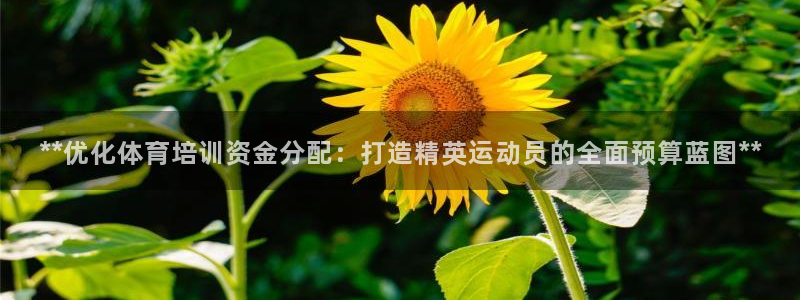 耀世国际平台正规吗安全吗可信吗：**优化体育培训资金