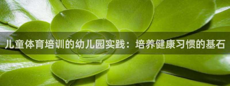 耀世娱乐平台注册地址在哪里查：儿童体育培训的幼儿园实践：培养