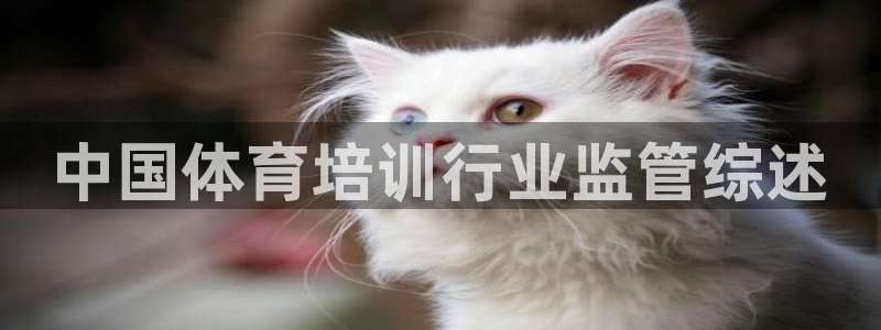 耀世娱乐平台官网：中国体育培训行业监管综述