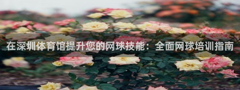 耀世平台注册开户：在深圳体育馆提升您的网球技能：全面