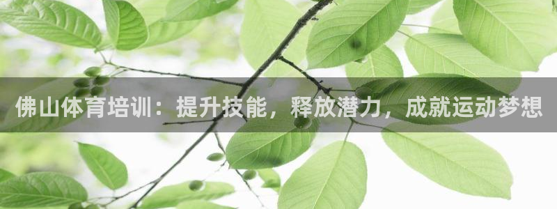 耀世平台拿什么输入账号密码呢：佛山体育培训：提升技能