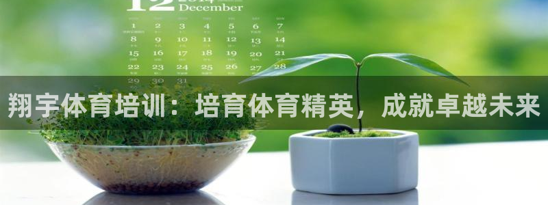 耀世平台代理怎么样：翔宇体育培训：培育体育精英，成就