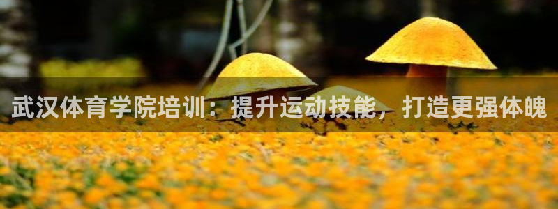 耀世娱乐登陆地址在哪：武汉体育学院培训：提升运动技能