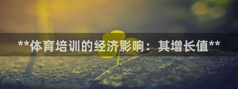 耀世娱乐官网首页登录入口：**体育培训的经济影响：其增长值*