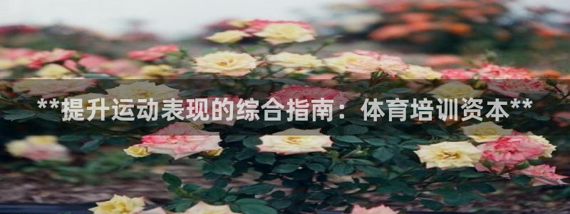 耀世平台开户