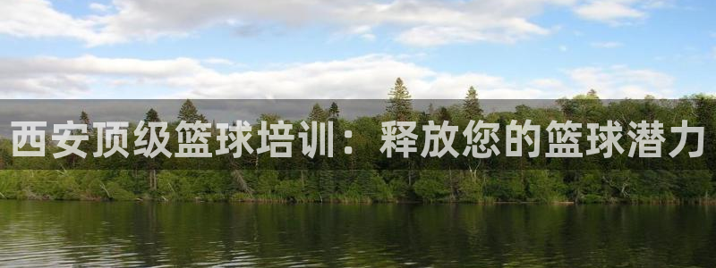耀世平台遇 411o31 平台：西安顶级篮球培训：释放您的篮