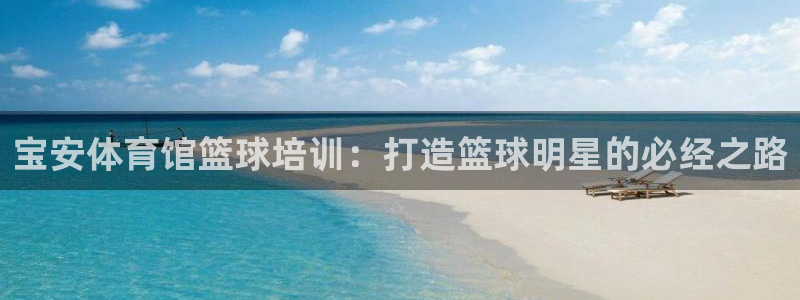 耀世娱乐挂机教程下载：宝安体育馆篮球培训：打造篮球明
