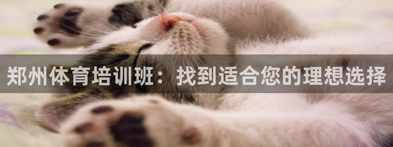 耀世平台最新注册地址：郑州体育培训班：找到适合您的理