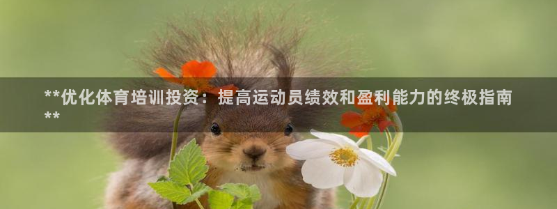 耀世集团七天三倍彩金活动：**优化体育培训投资：提高