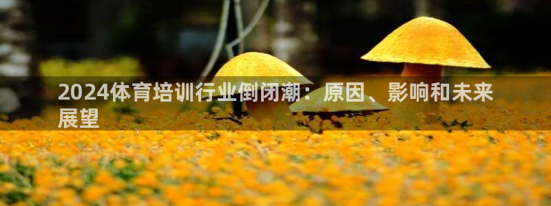 耀世令是什么：2024体育培训行业倒闭潮：原因、影响