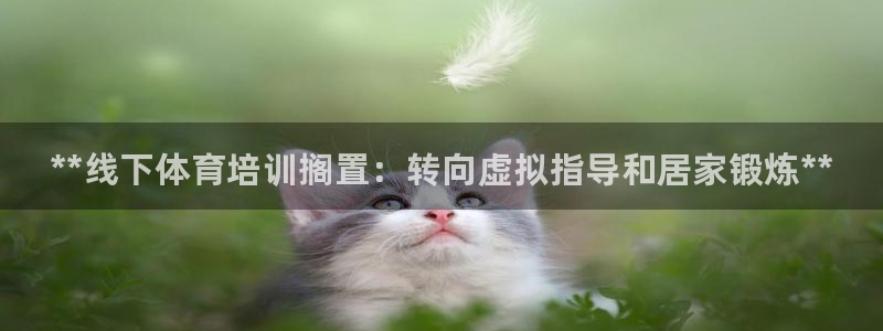 耀世平台实7O777：**线下体育培训搁置：转向虚拟指导和居