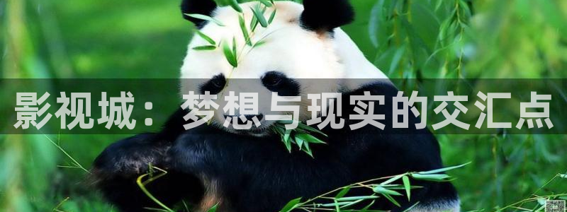 羞羞影院午夜男女爽爽影院