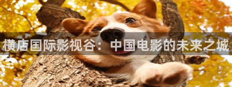 羞羞影院在线视频